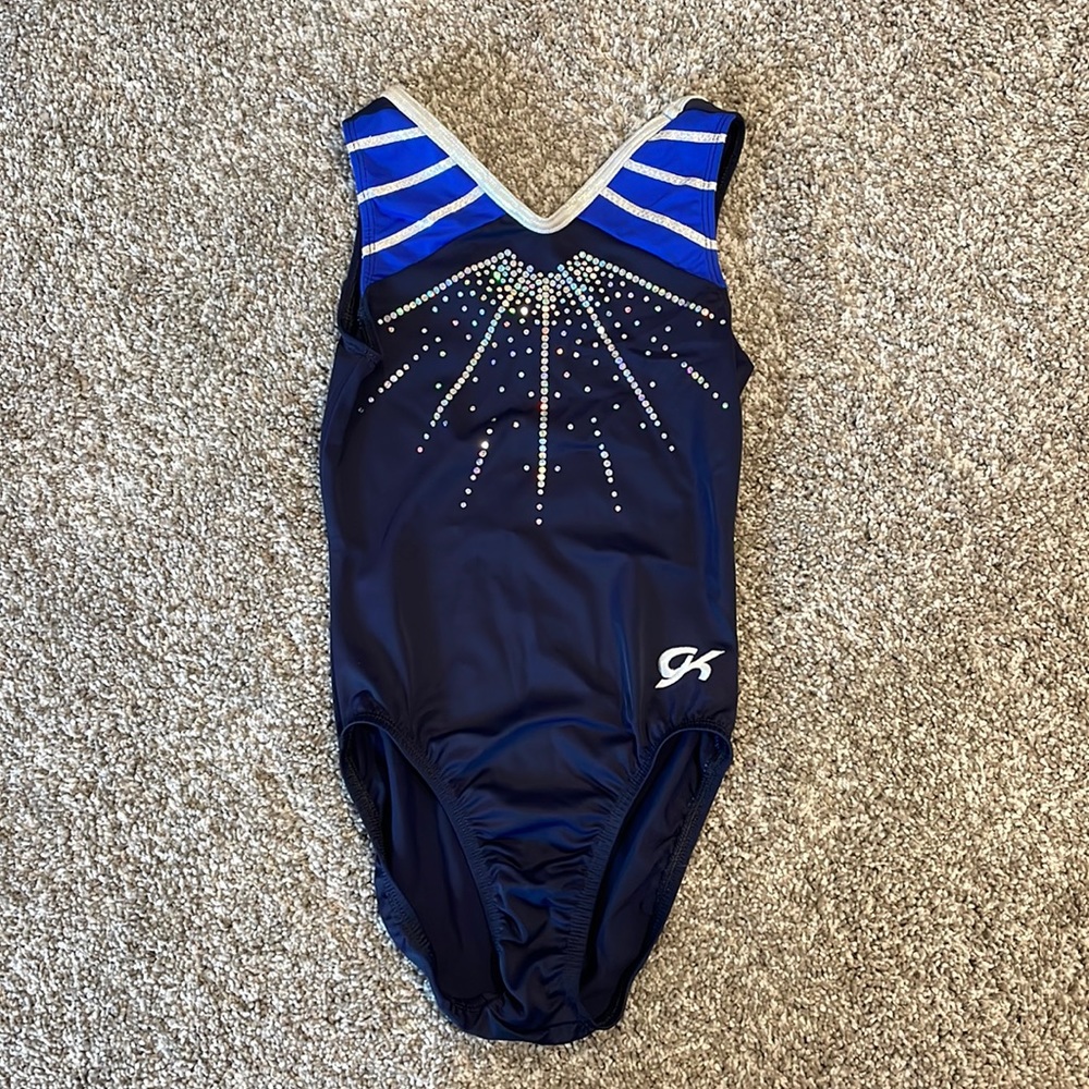 GK Blue and Silver Leotard